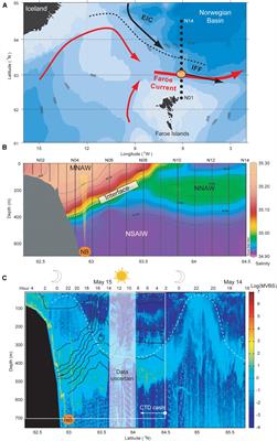 Vertical Migration of Pelagic and Mesopelagic Scatterers From ADCP Backscatter Data in the Southern Norwegian Sea